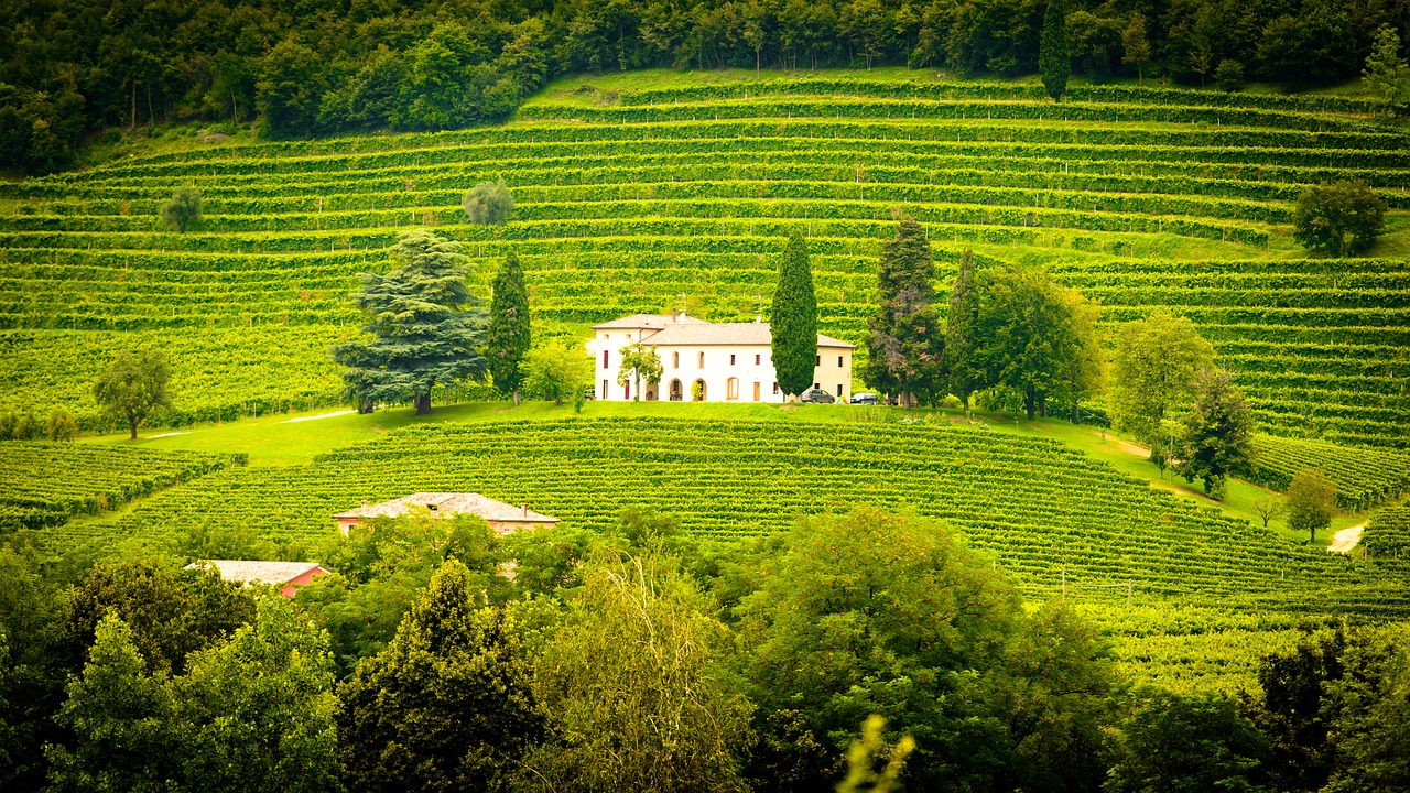 Das Champagner-Weingut Charles Mignon